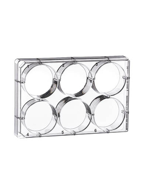 格瑞纳 Greiner 657160 6孔细胞培养板 TC处理灭菌 带盖 独立包装