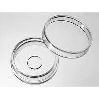 Cellvis D29-20-1-N 29mm玻底皿(激光共聚焦专用培养皿)孔径20mm