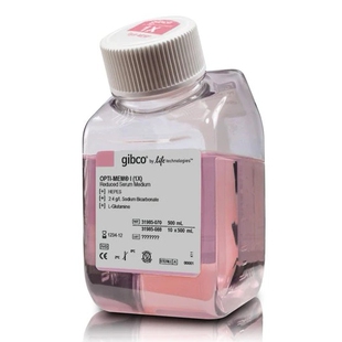 减血清培养基 Gibco 500ml MEM 31985070 Opti