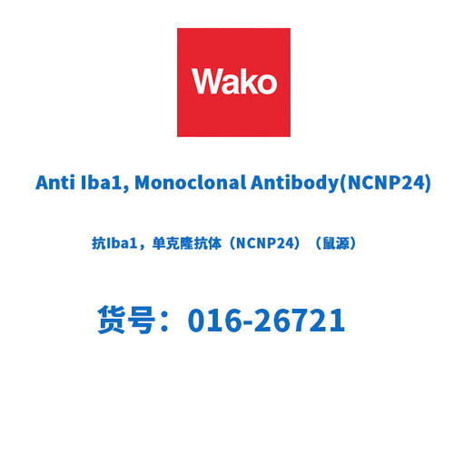 Wako016-26721抗Iba1单克隆抗体