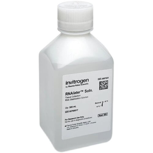货号: AM7021  RNAlater稳定液 500mL  AM7021