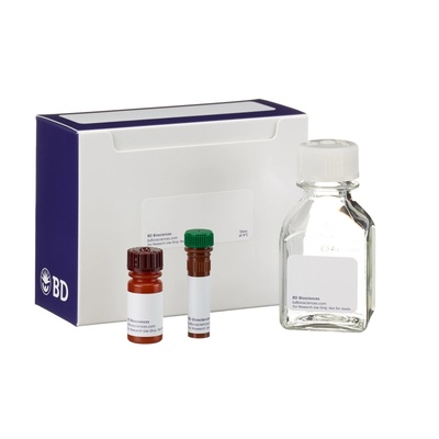 BD556547AnnexinV-FITC