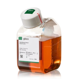 Premium Bovine Serum 500ml Plus A5669701 Gibco Fetal