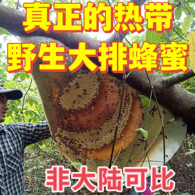 海南野生排蜂蜜 悬崖蜜 纯天然绝无添加 500g非云南货可比