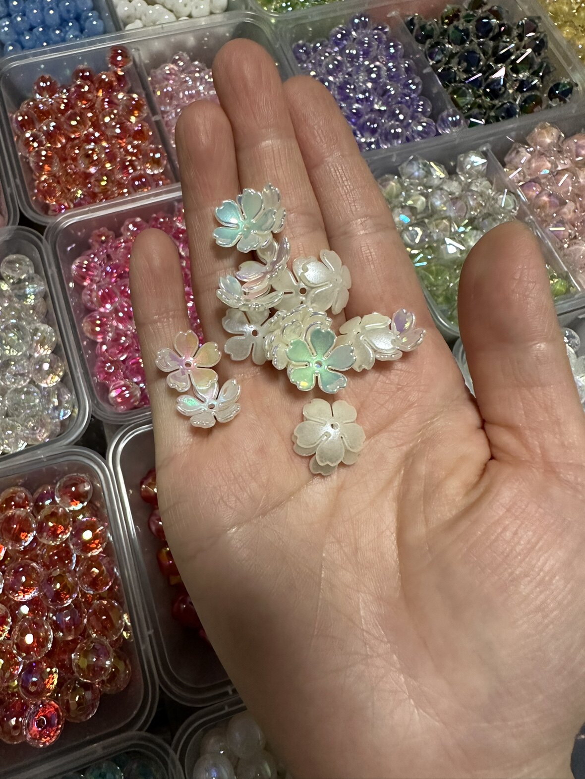 uv镀 五瓣碗花花瓣