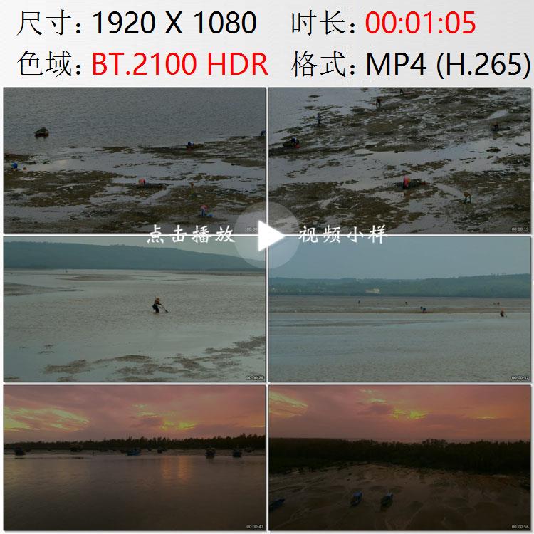 航拍海南岛儋州渔村海水落潮海滩村民赶海拾贝高清实拍视频素材