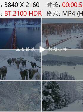 航拍新疆阿尔泰布尔津县游牧民族牛群猎人滑雪起源地实拍视频素材