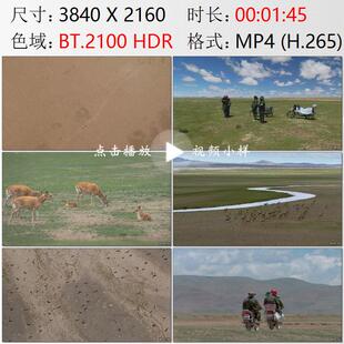 航拍西藏羌塘高原自然保护区管护员巡逻藏羚羊生态文明视频素材