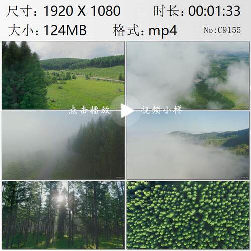 航拍河北塞罕坝人工林植树造林森林阳光生态环境保护实拍视频素材