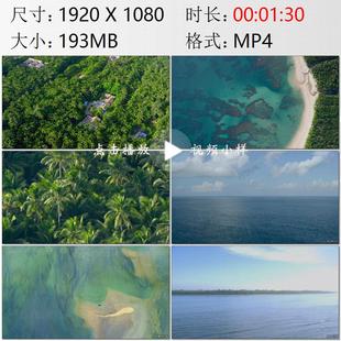 航拍海南岛文昌市东郊椰林椰子树特写高清实拍视频素材