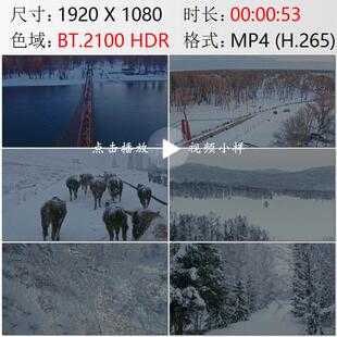 航拍新疆阿尔泰布尔津县游牧民族牛群猎人滑雪起源地实拍视频素材