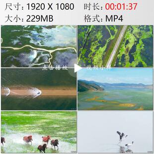 航拍云南纳帕海湖水淹没公路吉普车依拉草原马群黑颈鹤视频素材