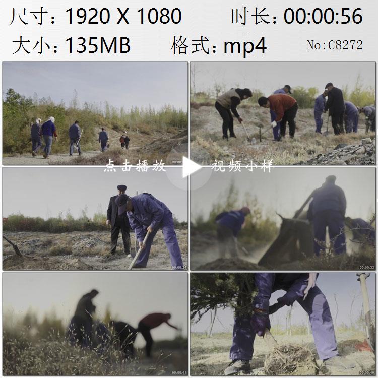 甘肃嘉峪关民众在戈壁滩上植树造林绿化家园防风沙实拍视频素材