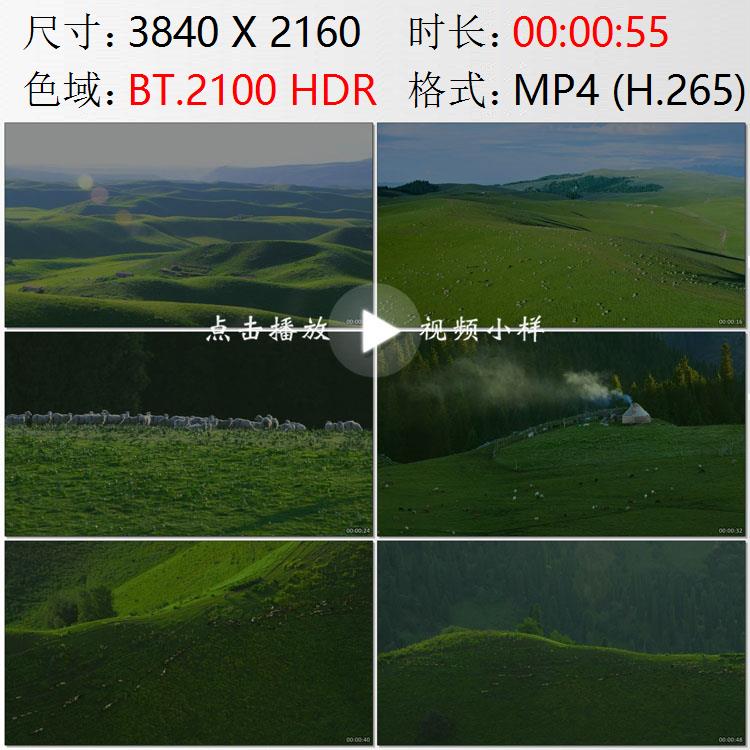 航拍新疆伊利哈萨克自治州喀拉峻草原夏季牧场牛羊成群视频素材