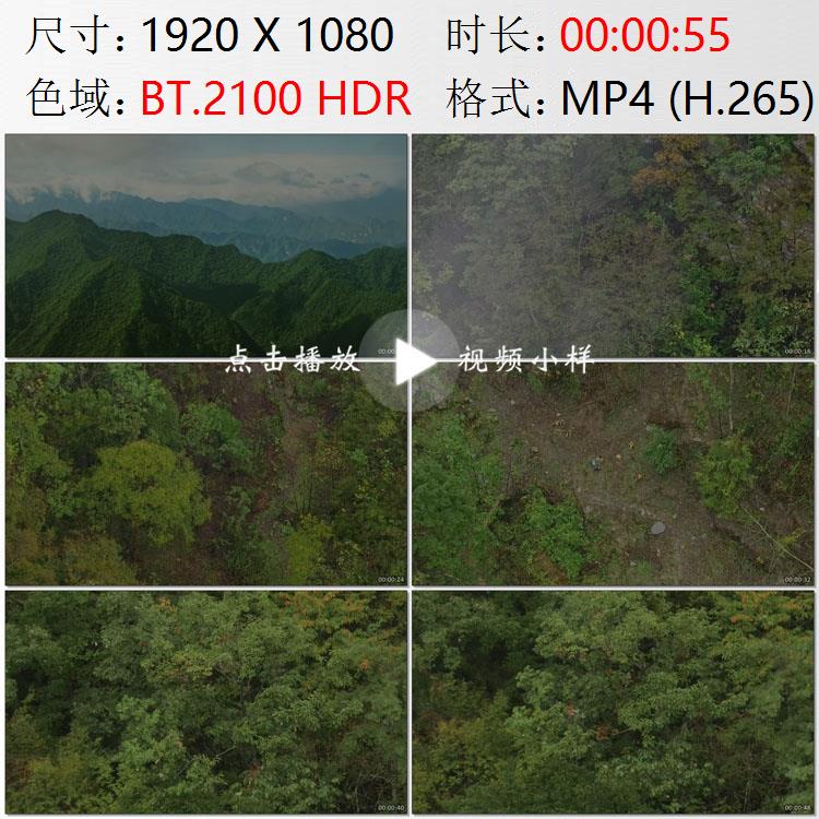 航拍陕西安康皇冠镇秦岭山区金丝猴群落人工喂食高清实拍视频素材