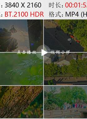 航拍苏州平江路石桥小河绿树石榴树来往游客旅游团实拍视频素材