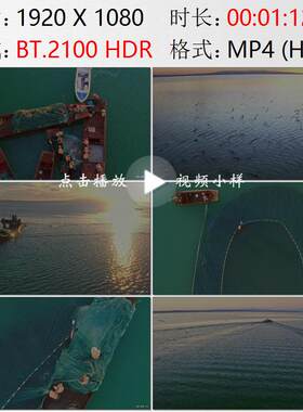 航拍新疆福海县乌伦古湖渔民捕捞池沼公鱼高清实拍视频素材