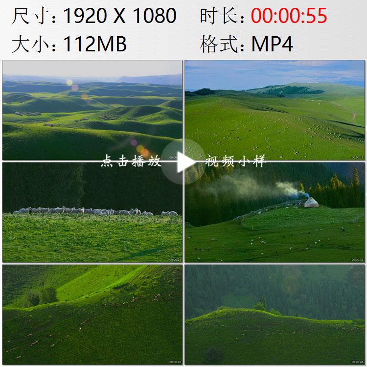 航拍新疆伊犁哈萨克自治州喀拉峻草原夏季牧场牛羊马群视频素材