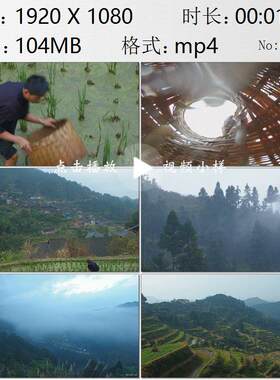 贵州雷山苗族山寨自然人文风光苗年兔日苗民在稻田里捕鱼视频素材