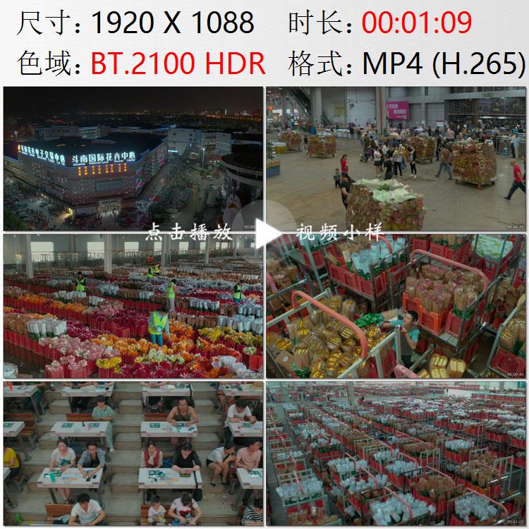 航拍云南昆明斗南国际花卉拍卖交易中心花农批发鲜花实拍视频素材