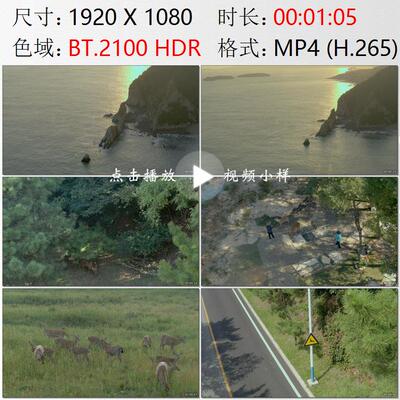 航拍辽宁大连滨海路梅花鹿群人与动物和谐相处高清实拍视频素材