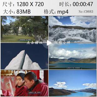 西藏山南古沙棘林岗布冰川羊卓雍错湖白地寺美丽景观实拍视频素材
