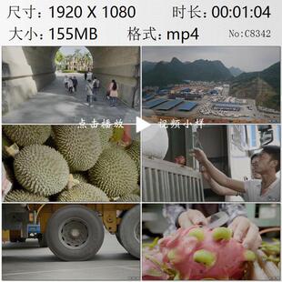 西南边陲凭祥古镇友谊关水果进出口口岸东南亚热带水果视频素材