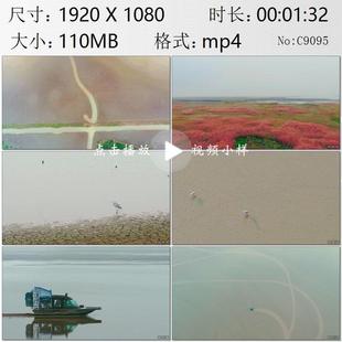 航拍湖南洞庭湖冬季浅滩沼泽候鸟迁徙动物保护人员巡逻视频素材