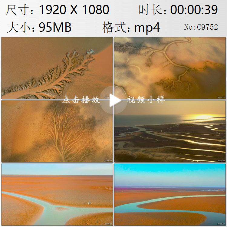航拍退潮沟壑潮汐树渤海海域唯美景观高清实拍视频素材