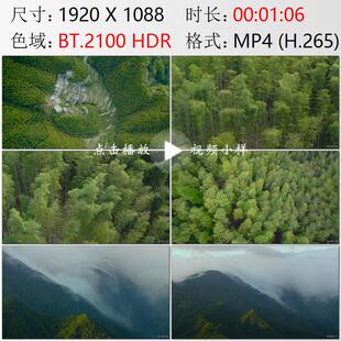 航拍安徽黄山市皖南木坑竹海电影卧虎藏龙拍摄地高清实拍视频素材