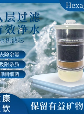 科士威维迈小水机滤芯