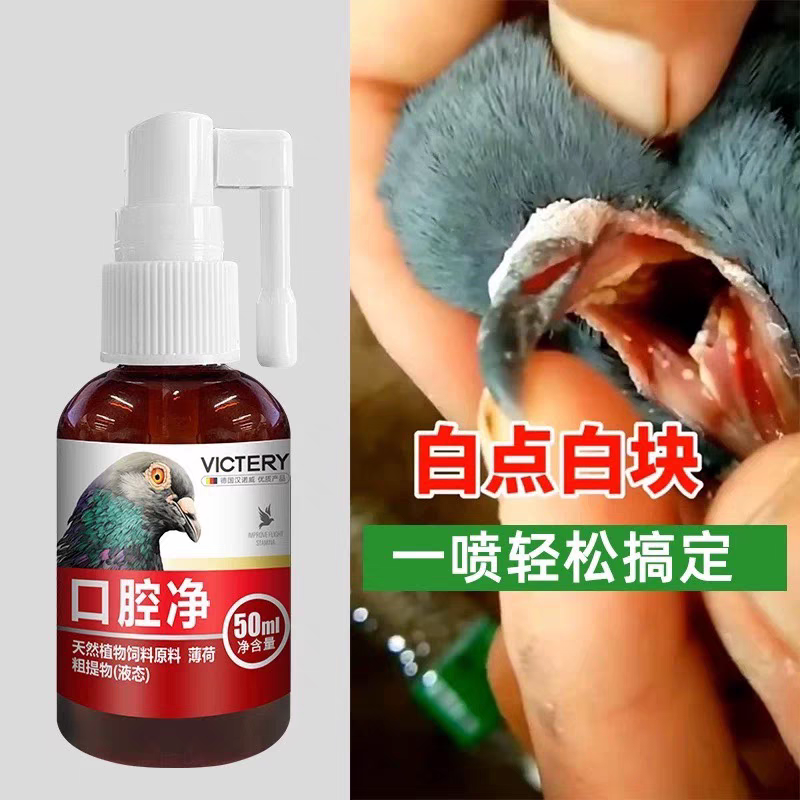 口黄净鸽子口黄专用药