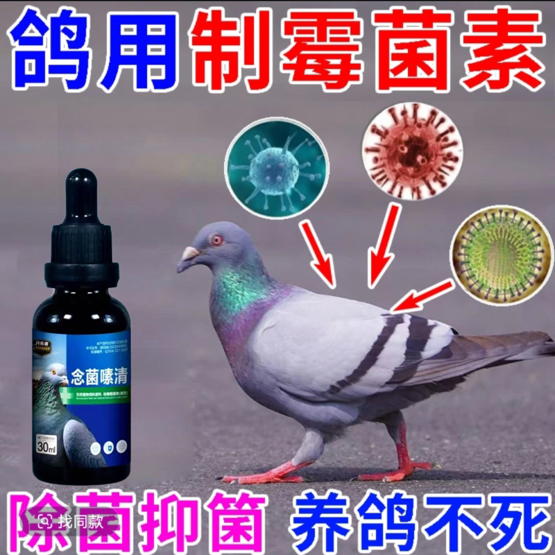 正品开拓者【念菌嗉清】