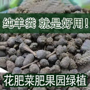 羊粪肥 羊粪蛋蛋颗粒状发酵羊粪肥干羊粪 有机肥 叶子绿 兰花肥