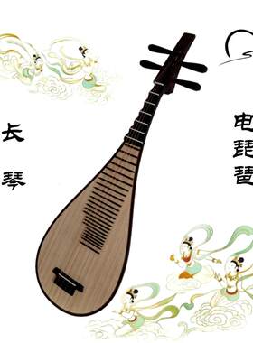琵琶拿奢电琵琶成人专业演奏乐器