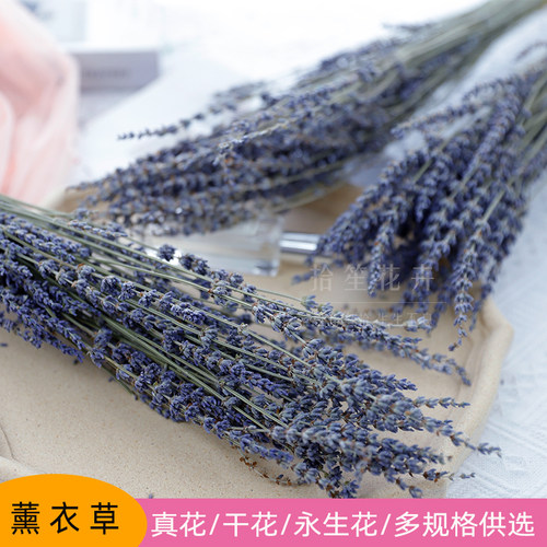 薰衣草干花天然真花香薰