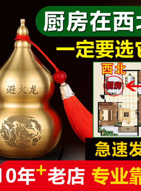 高品质避火龙家居好物纯铜避火龙瓶乔迁搬家礼物厨房避火葫芦摆件