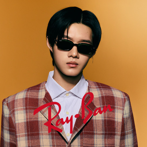 RayBan雷朋不规则形板材太阳镜