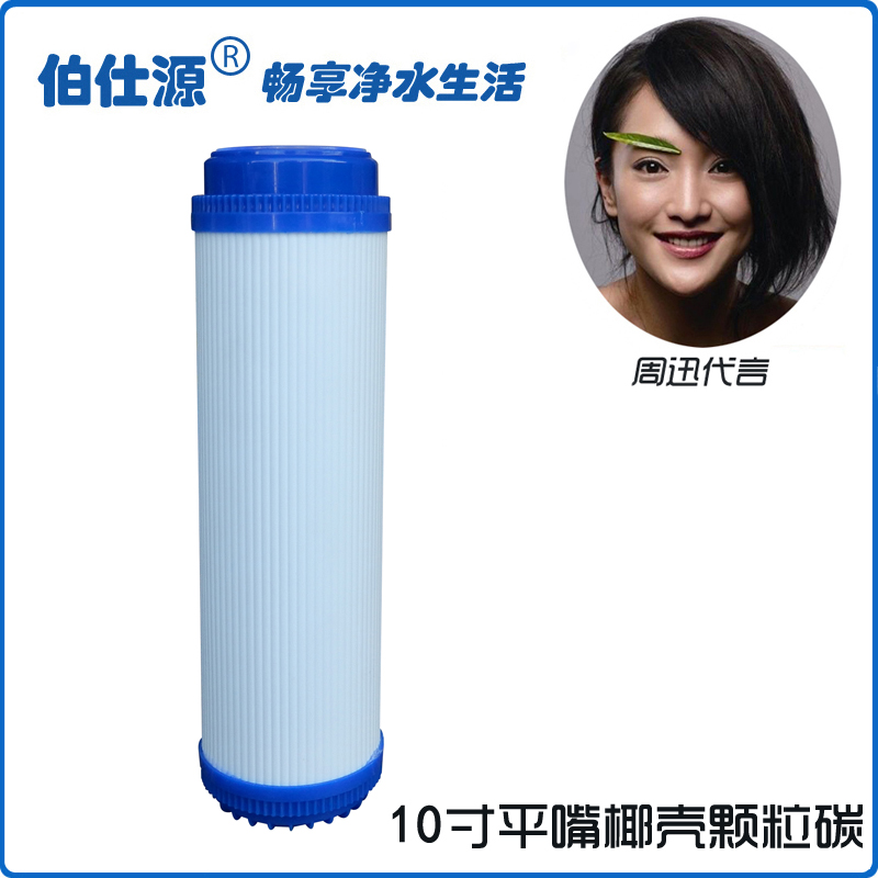 宝露总馨滤芯颗粒活性炭10寸过滤总馨净水器滤芯净水机耗材通用款
