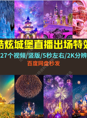 酷炫浪漫城堡出场特效欢迎大哥2K竖版素材抖音无人直播中短视频