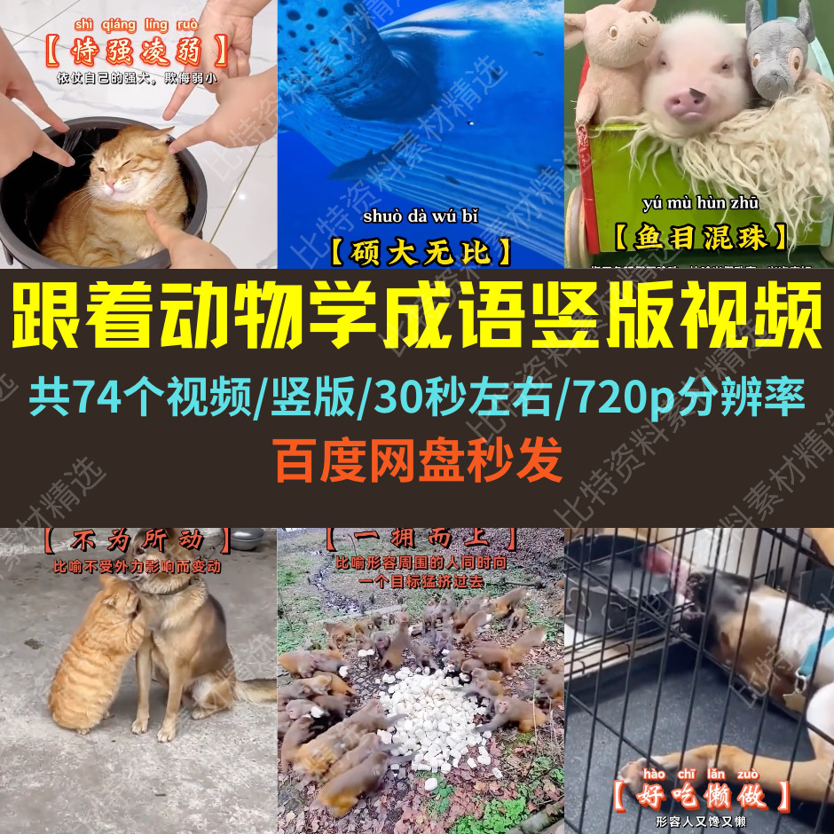搞笑趣味跟着动物学成语竖版素材抖音无人直播西瓜中短视频自媒体,商务/设计服务,设计素材/源文件,淘宝优惠券,粉丝福利购,淘宝优惠卷