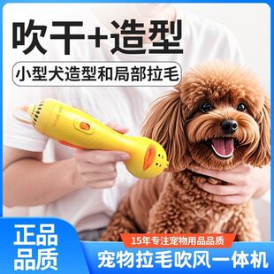 来旺兄弟狗狗吹风机吹梳脸部一体吹风机猫咪蓬松造型梳毛拉毛神器