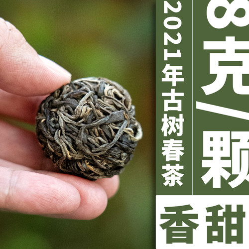 倚邦贡茶古树春茶生普迷你方便