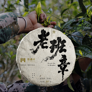 原产地直供 老班章古树熟普 2016年普洱茶熟茶357克茶饼离地发酵