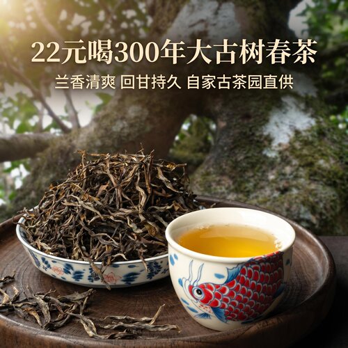 好茶溯源香甜清爽古树春茶纯料
