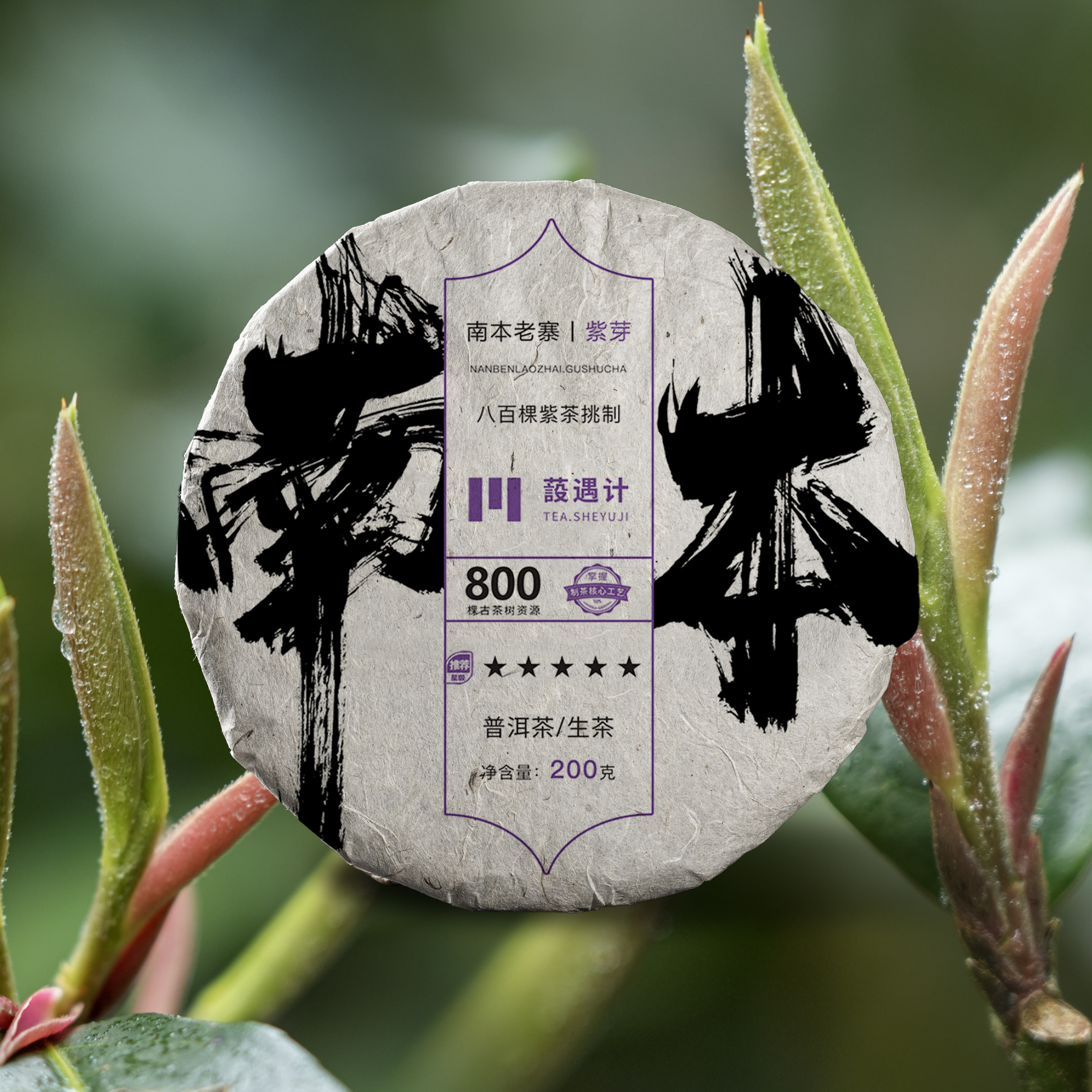 原产地茶农直供 紫芽古树春茶纯料 南本老寨普洱茶生茶200克茶饼,茶,普洱,淘宝优惠券,粉丝福利购,淘宝优惠卷