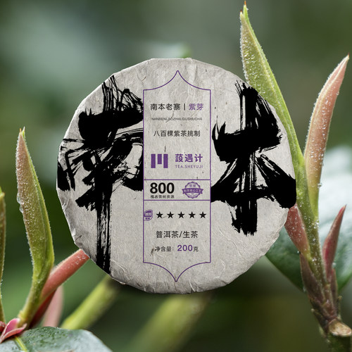 紫芽古树自家古茶分享花香甘甜