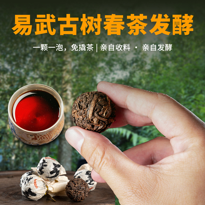 易武古树熟茶8g龙珠绵软甘甜