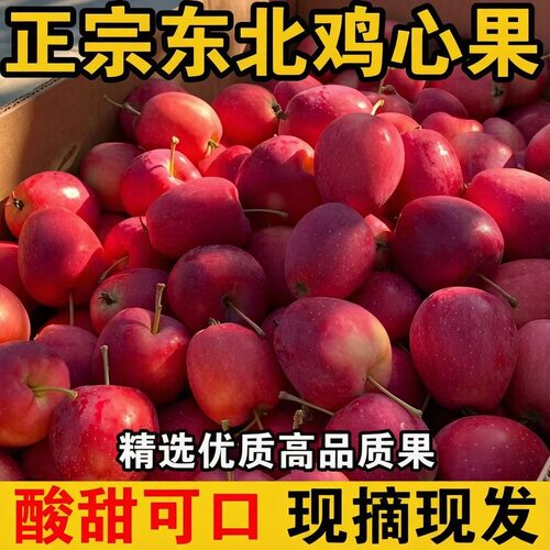 正宗东北鸡心果大果锦绣海棠酸甜水果脆冰糖心新鲜小苹果现摘批发