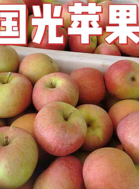 辽宁小国光苹果新鲜当季水果老树果光东北特产酸甜脆苹果笨果